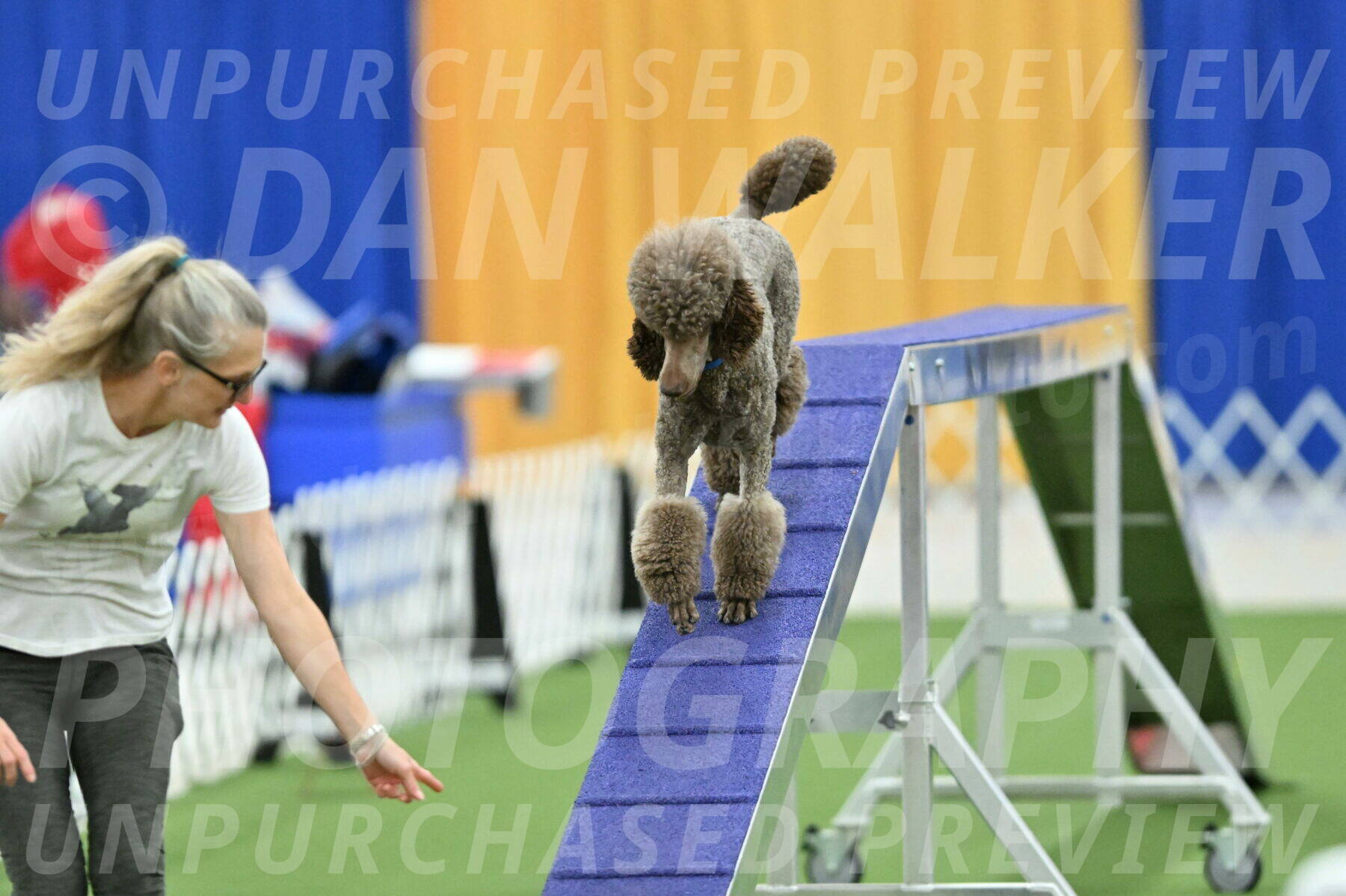 MAS-EX-STD-20-Inch_6895