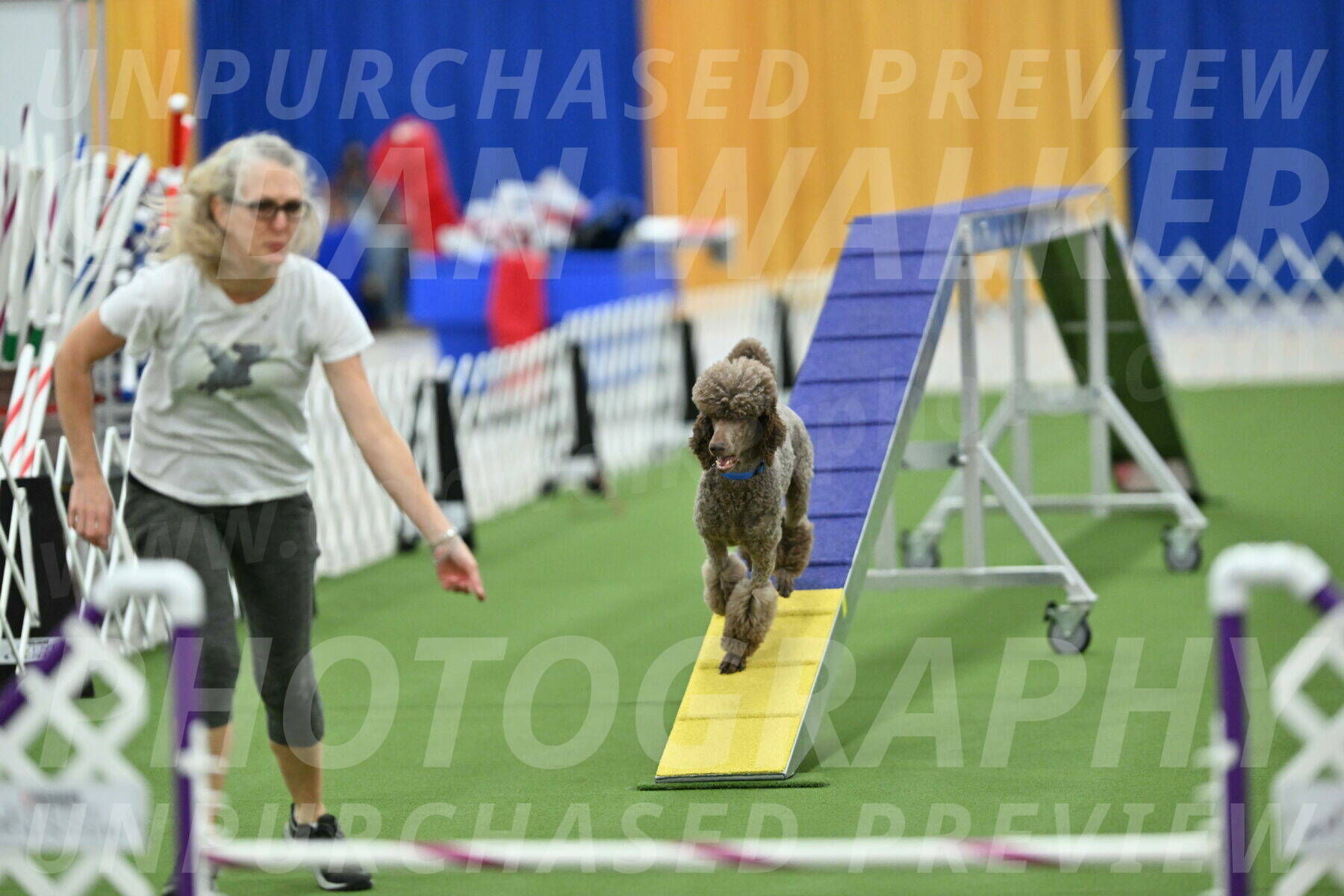 MAS-EX-STD-20-Inch_6896