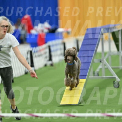 MAS-EX-STD-20-Inch_6897