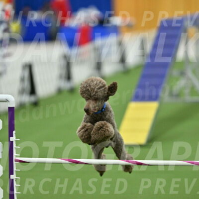 MAS-EX-STD-20-Inch_6906