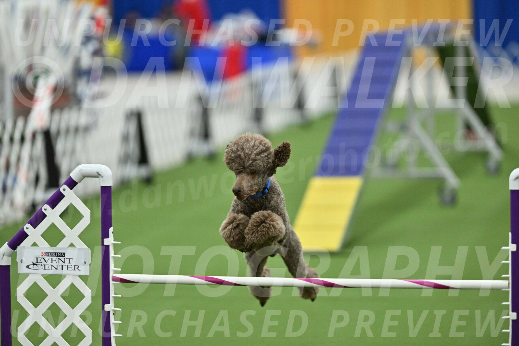 MAS-EX-STD-20-Inch_6906