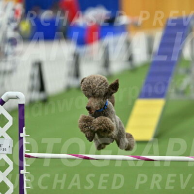 MAS-EX-STD-20-Inch_6907