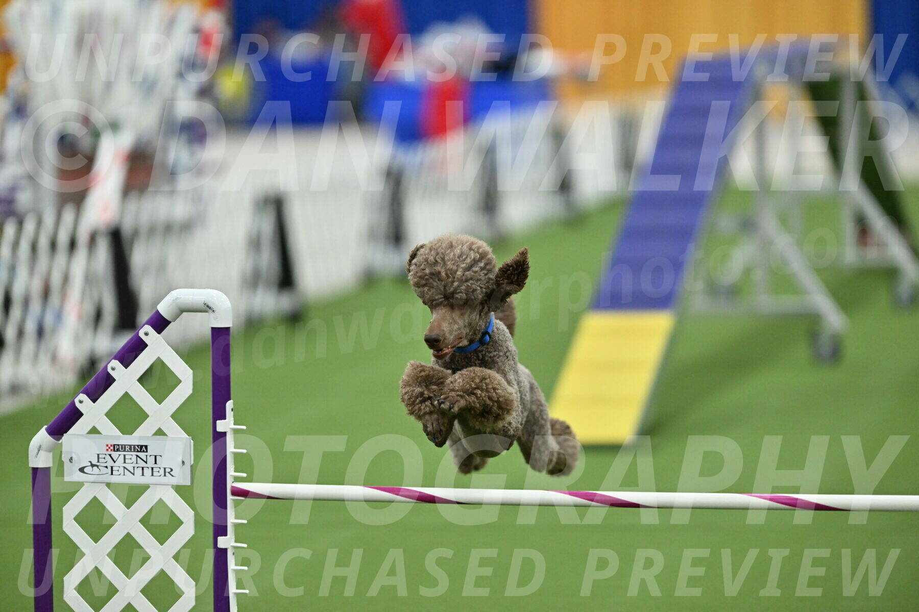 MAS-EX-STD-20-Inch_6907