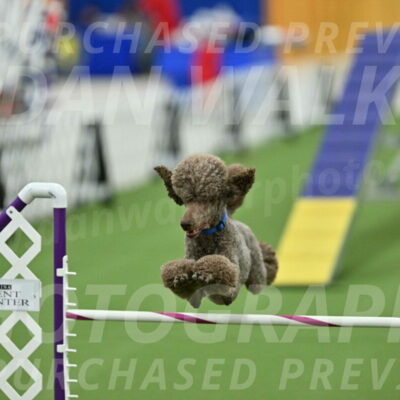 MAS-EX-STD-20-Inch_6908