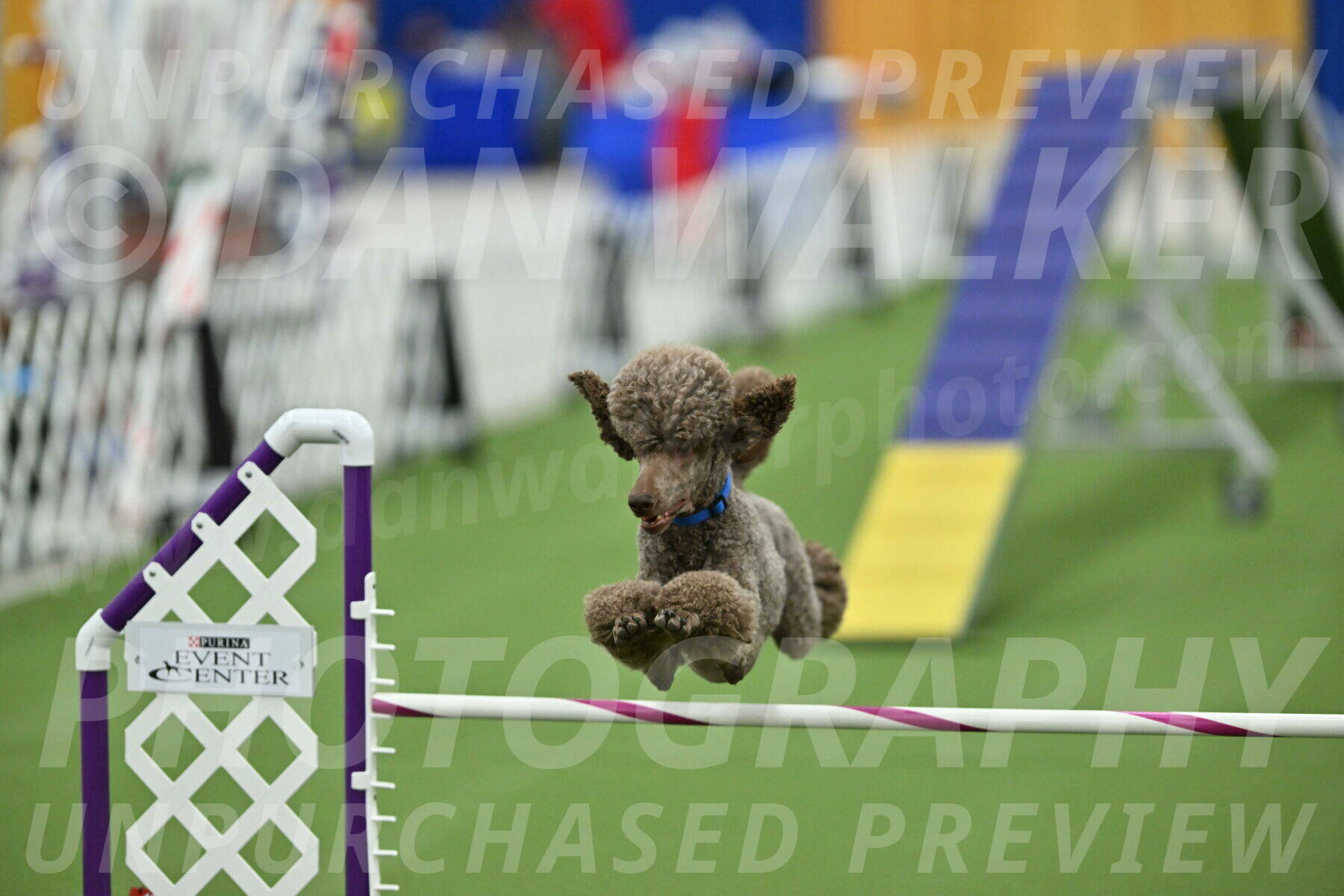 MAS-EX-STD-20-Inch_6908