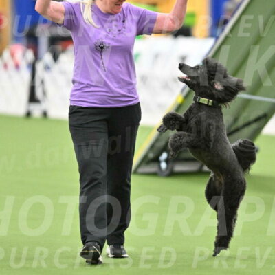 MAS-EX-STD-20-Inch_6911