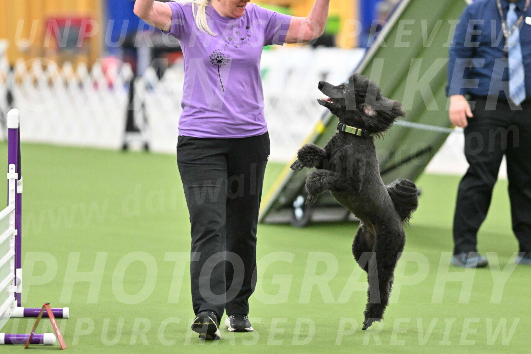 MAS-EX-STD-20-Inch_6911