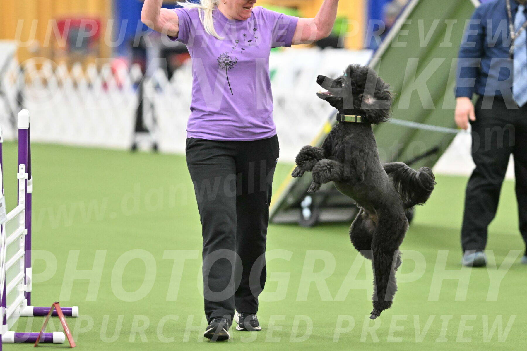 MAS-EX-STD-20-Inch_6912