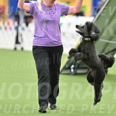 MAS-EX-STD-20-Inch_6912