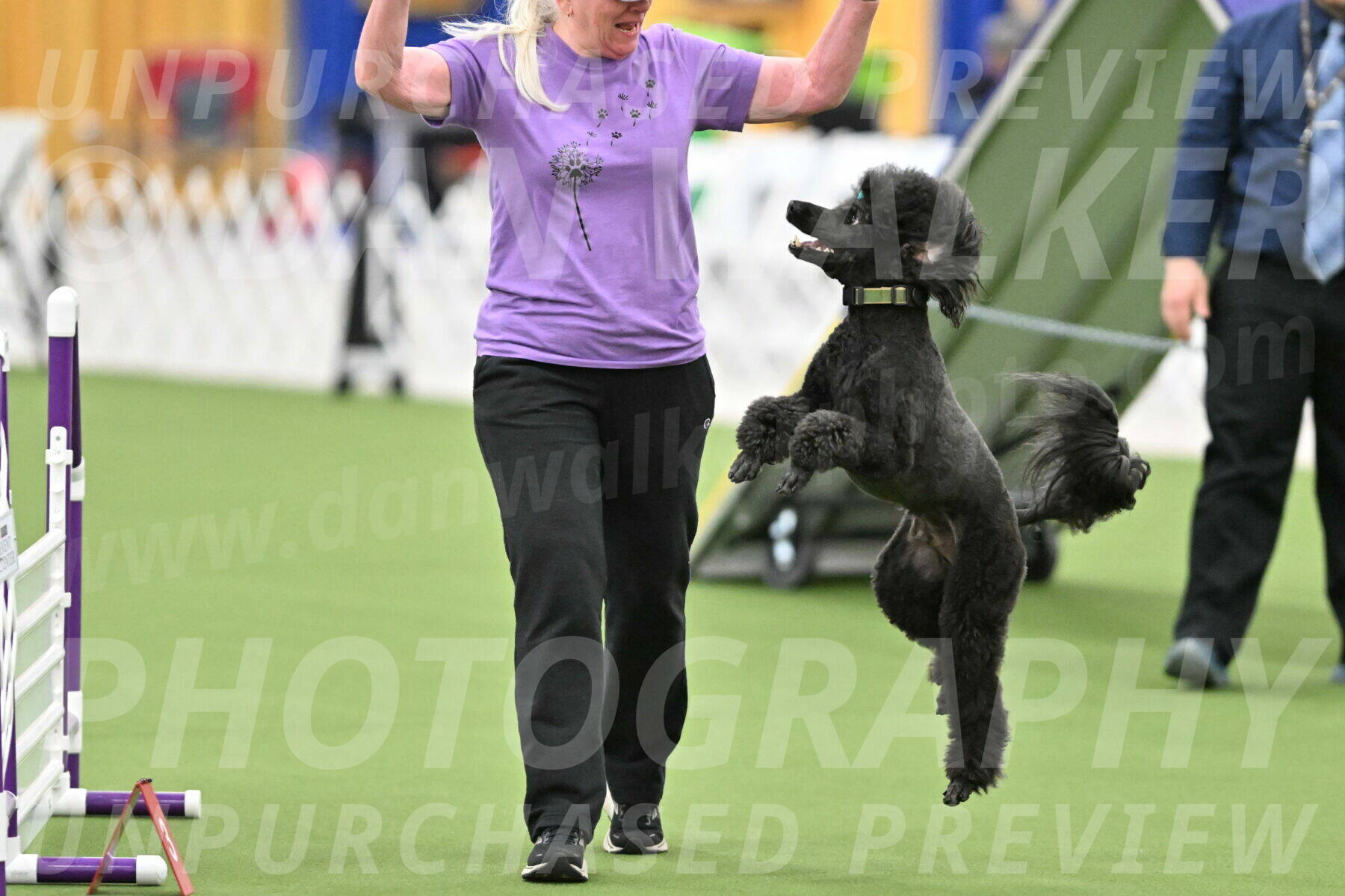 MAS-EX-STD-20-Inch_6913