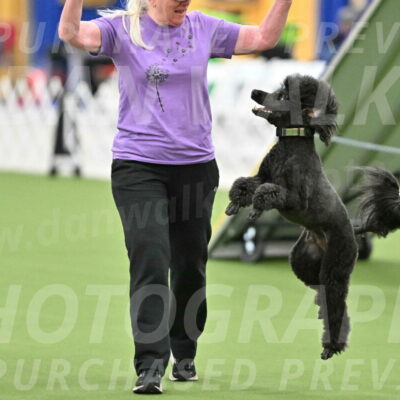 MAS-EX-STD-20-Inch_6913