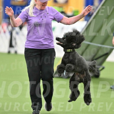 MAS-EX-STD-20-Inch_6914