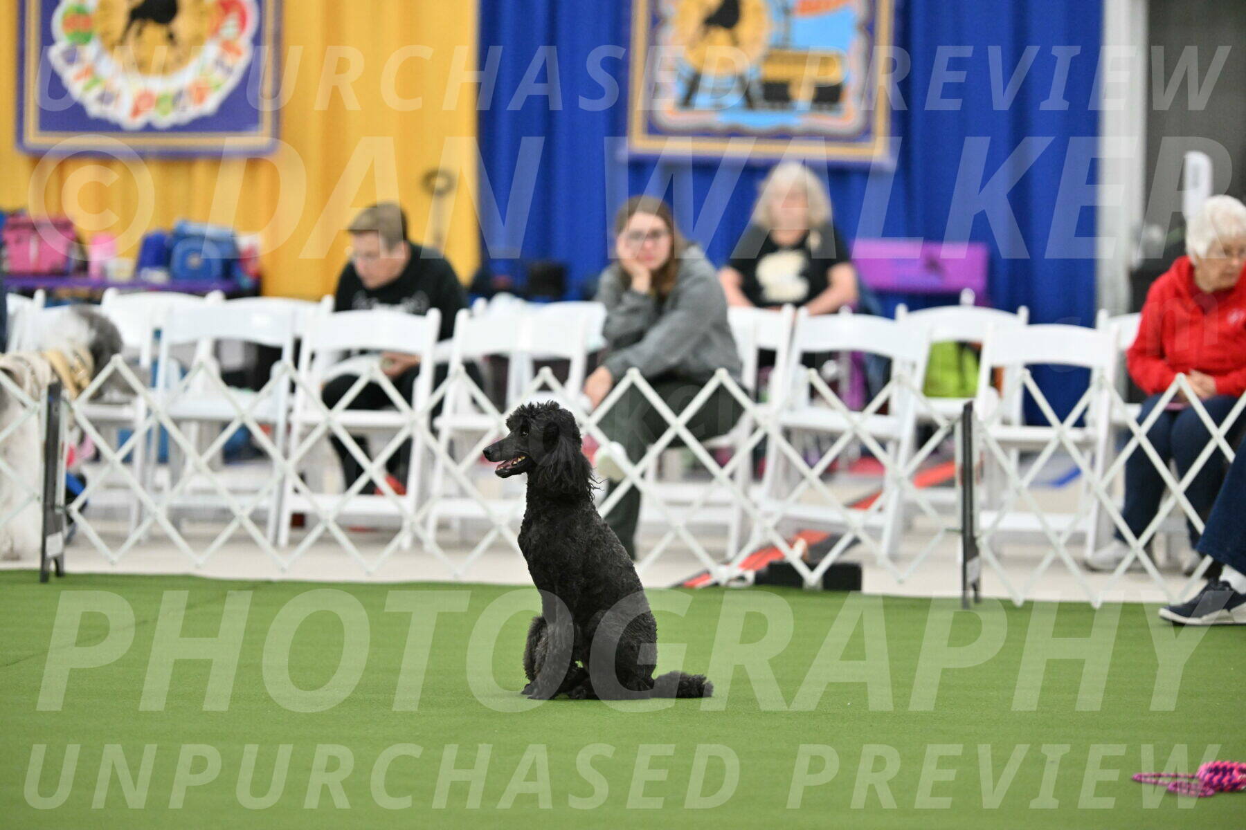 MAS-EX-STD-20-Inch_6917