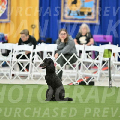 MAS-EX-STD-20-Inch_6917