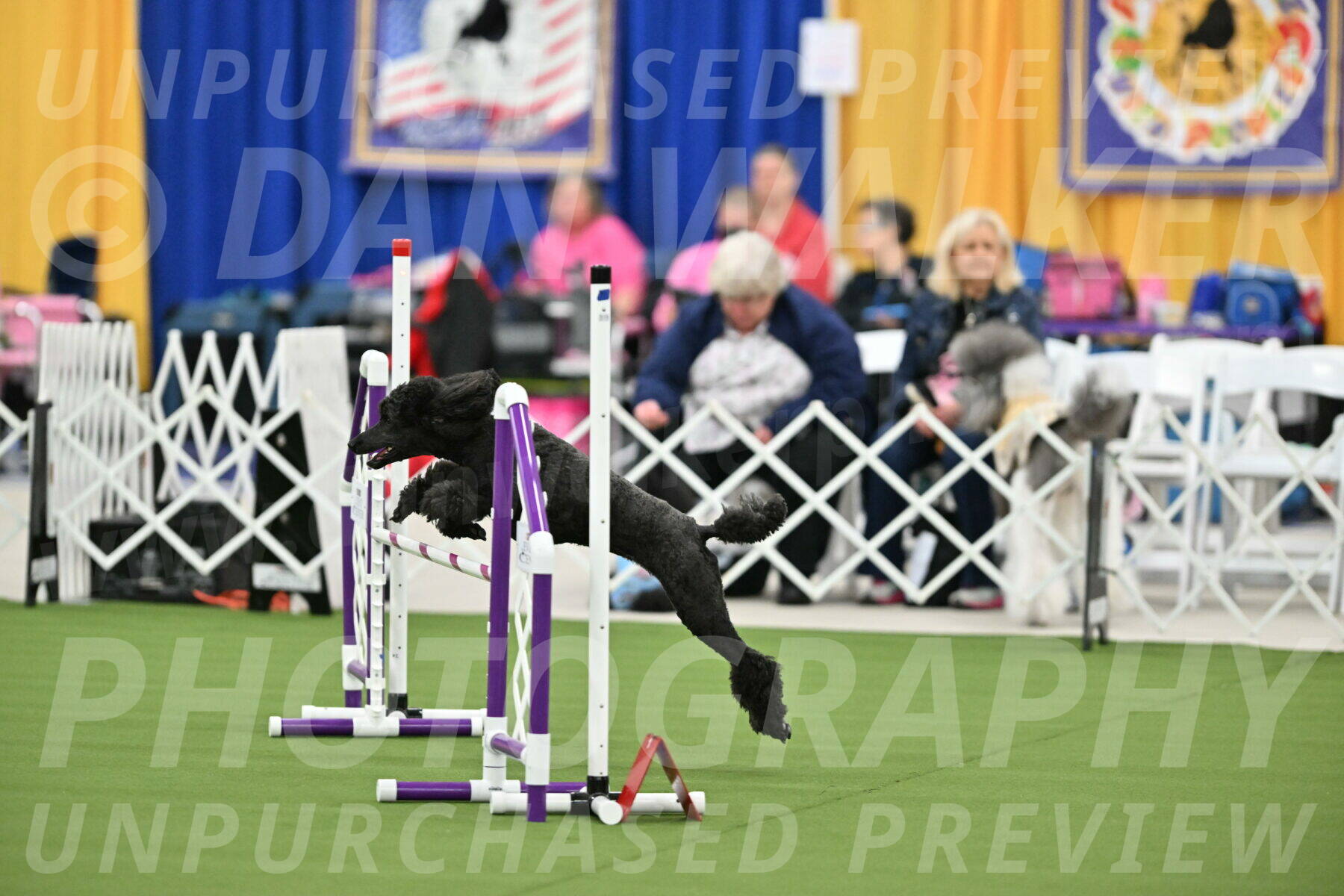 MAS-EX-STD-20-Inch_6920