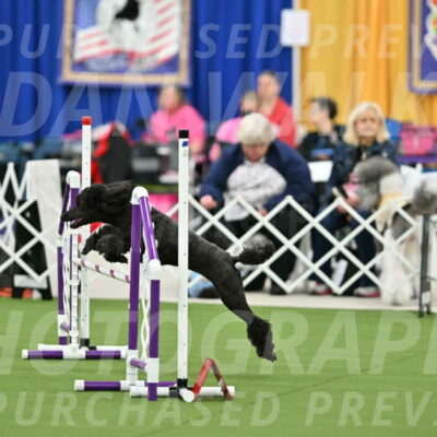 MAS-EX-STD-20-Inch_6920