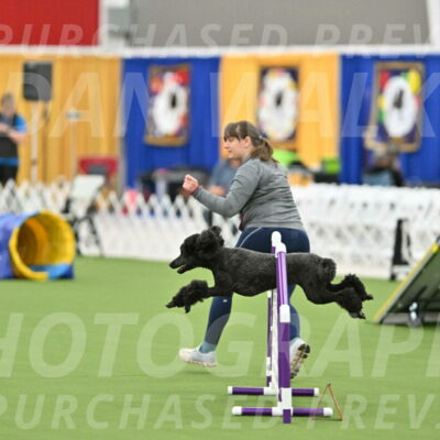 MAS-EX-STD-20-Inch_6924