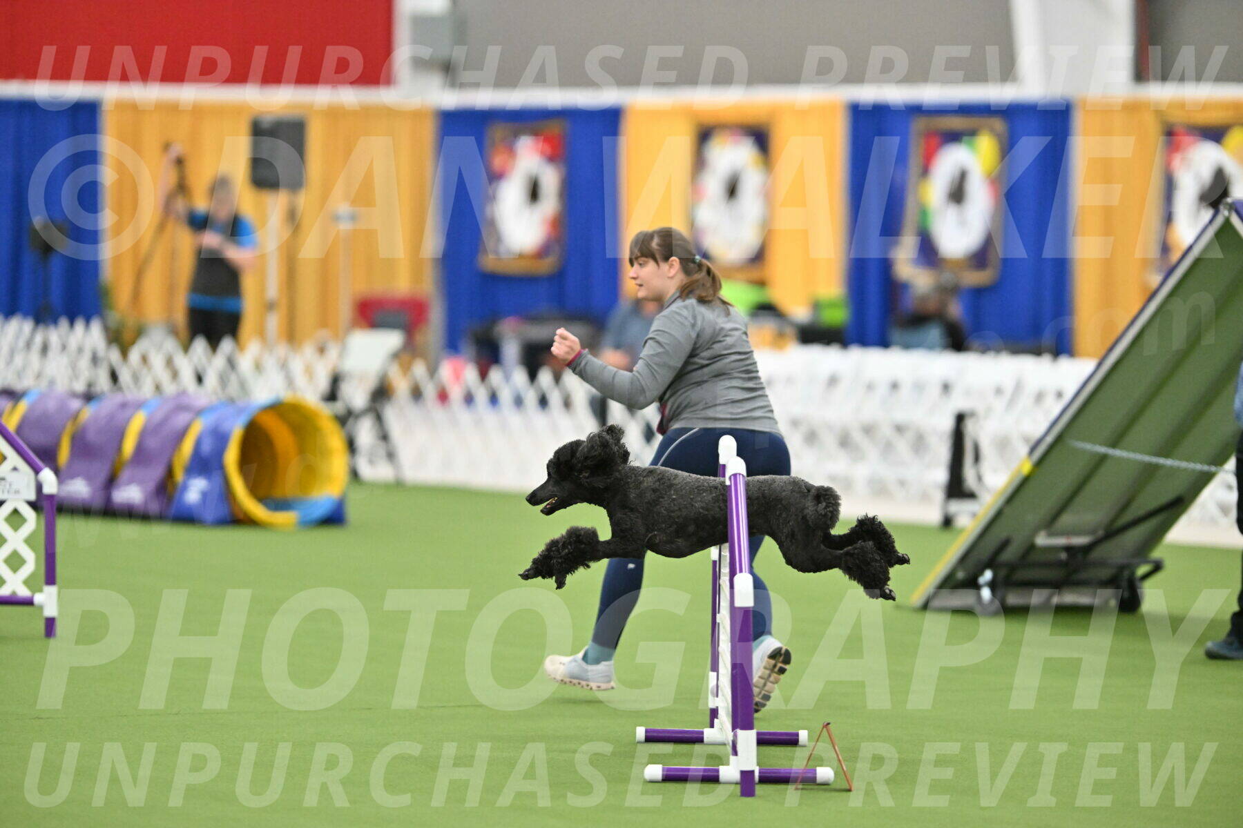 MAS-EX-STD-20-Inch_6924