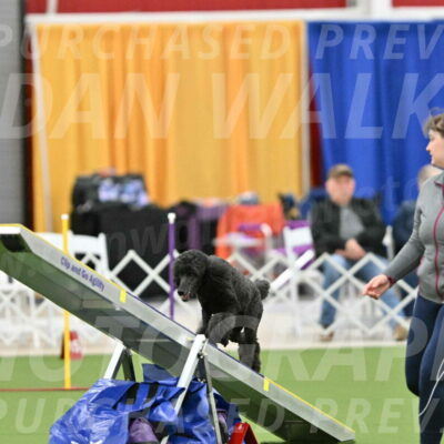 MAS-EX-STD-20-Inch_6927