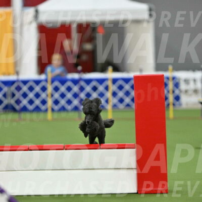 MAS-EX-STD-20-Inch_6943