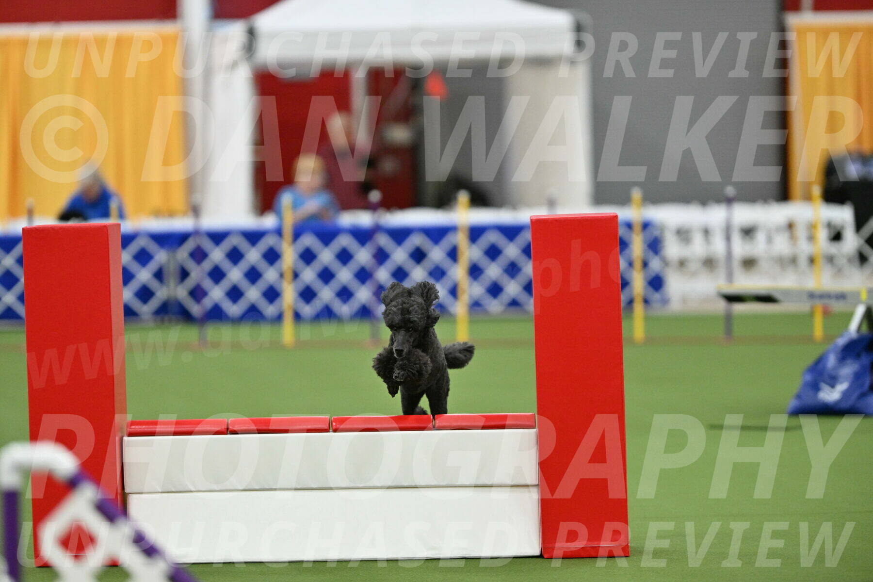 MAS-EX-STD-20-Inch_6943