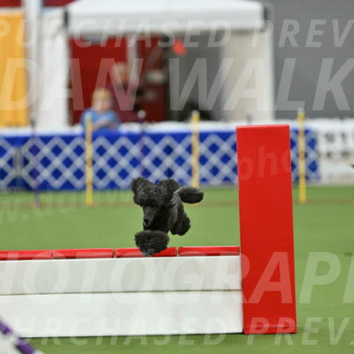 MAS-EX-STD-20-Inch_6945