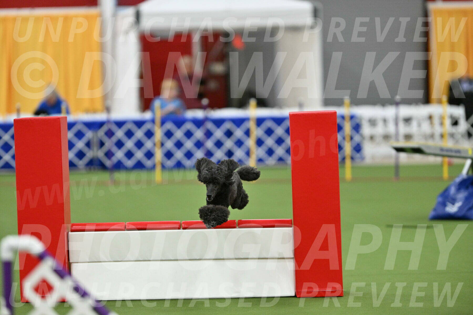 MAS-EX-STD-20-Inch_6945