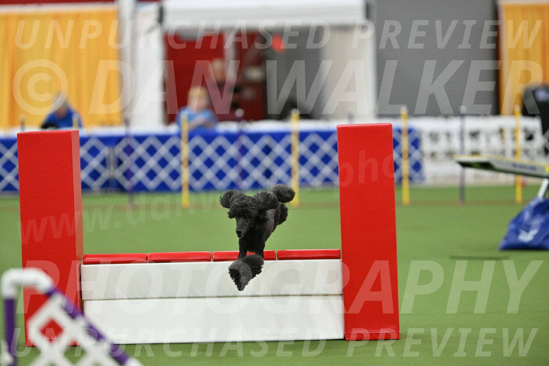 MAS-EX-STD-20-Inch_6946