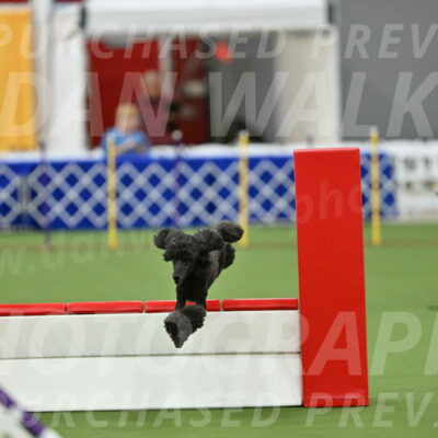 MAS-EX-STD-20-Inch_6946