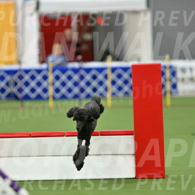 MAS-EX-STD-20-Inch_6947