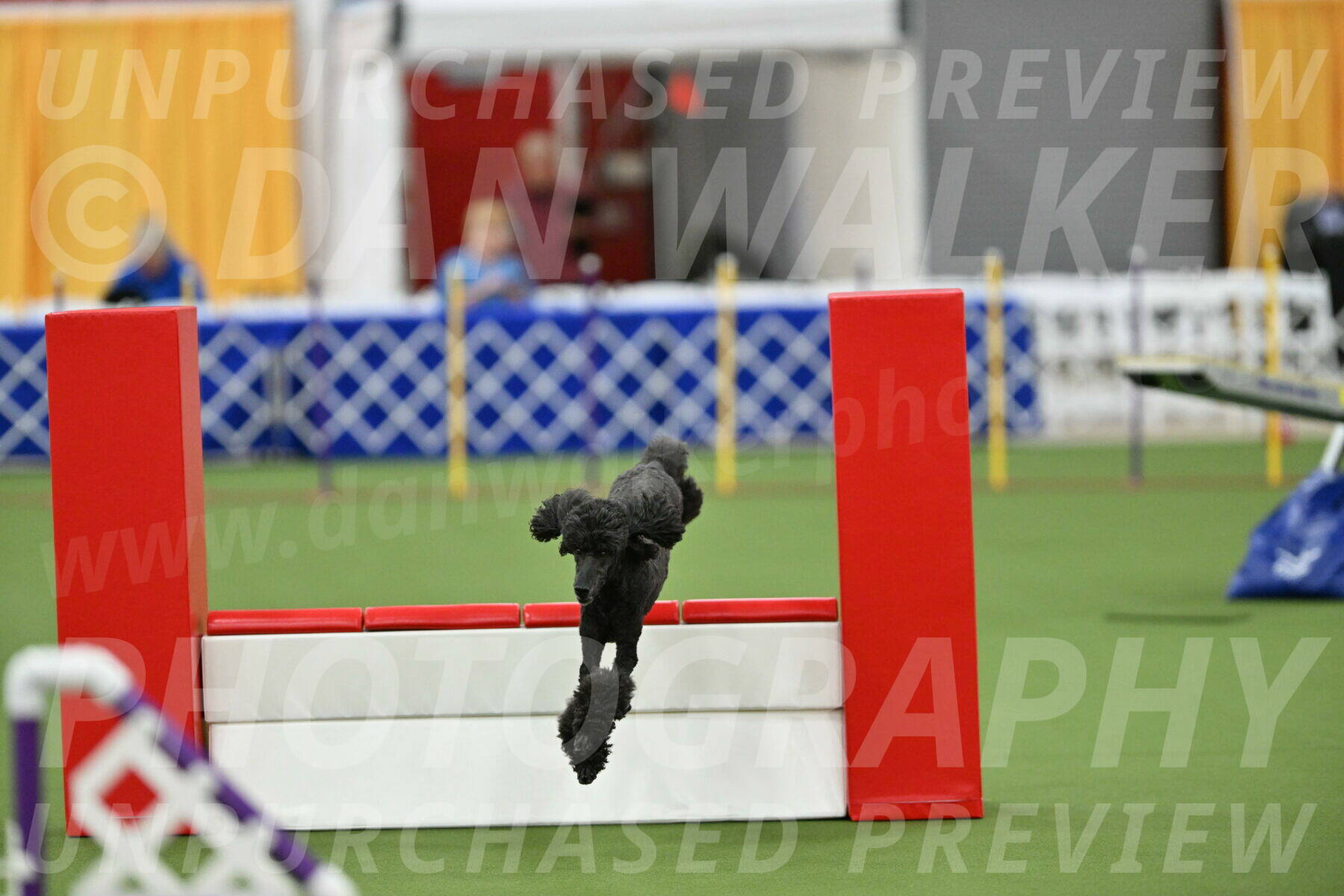 MAS-EX-STD-20-Inch_6947