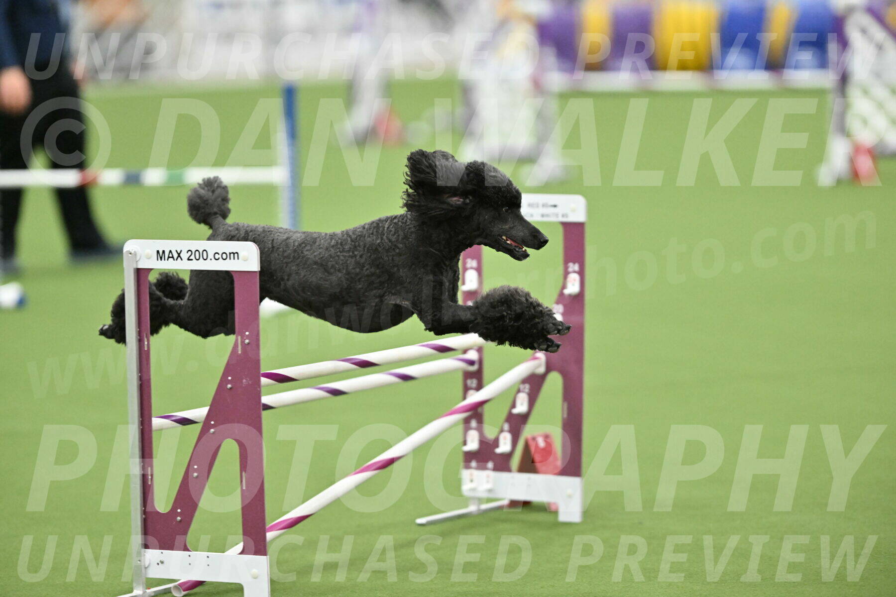 MAS-EX-STD-20-Inch_6952