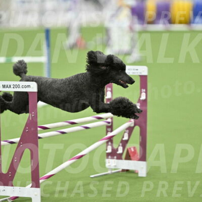 MAS-EX-STD-20-Inch_6952