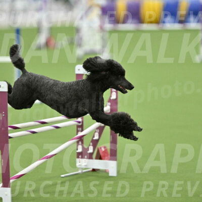 MAS-EX-STD-20-Inch_6953