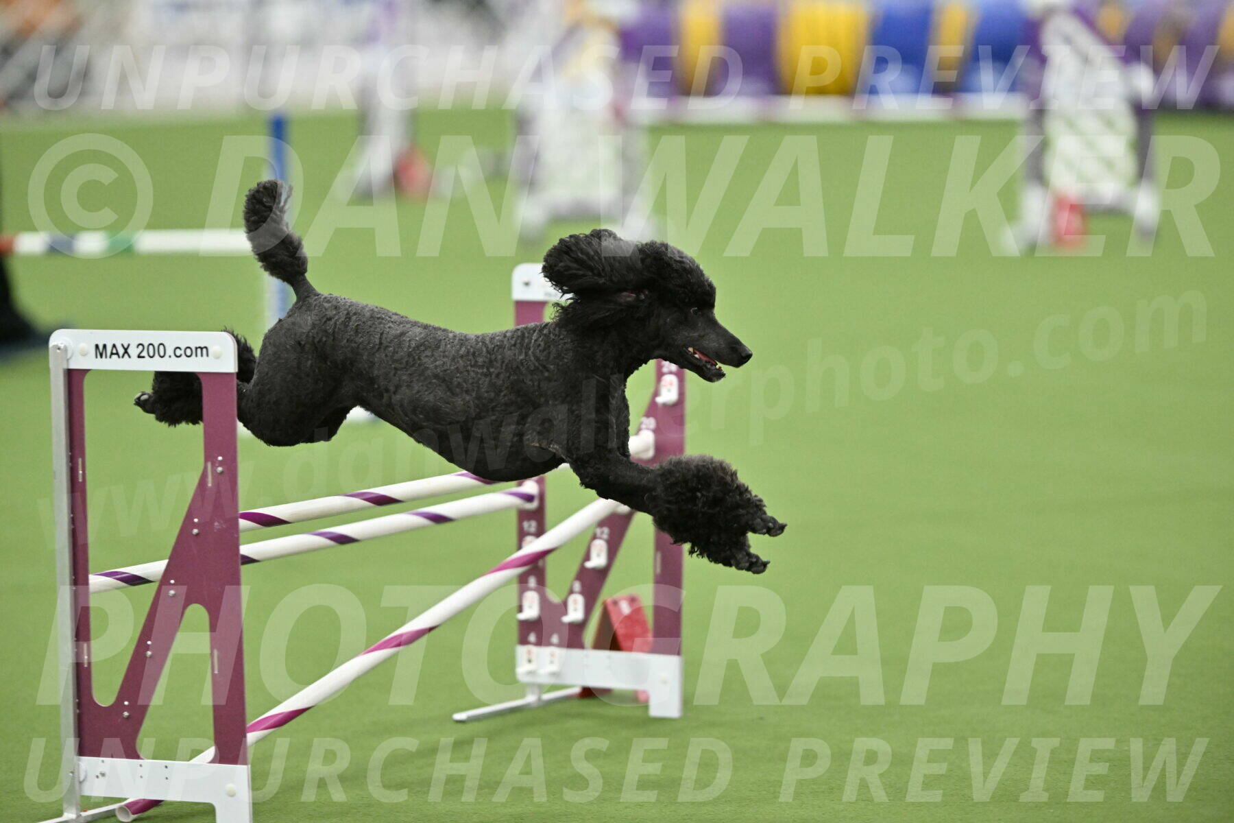 MAS-EX-STD-20-Inch_6953