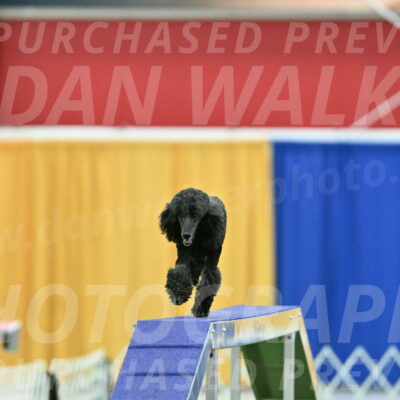 MAS-EX-STD-20-Inch_6955