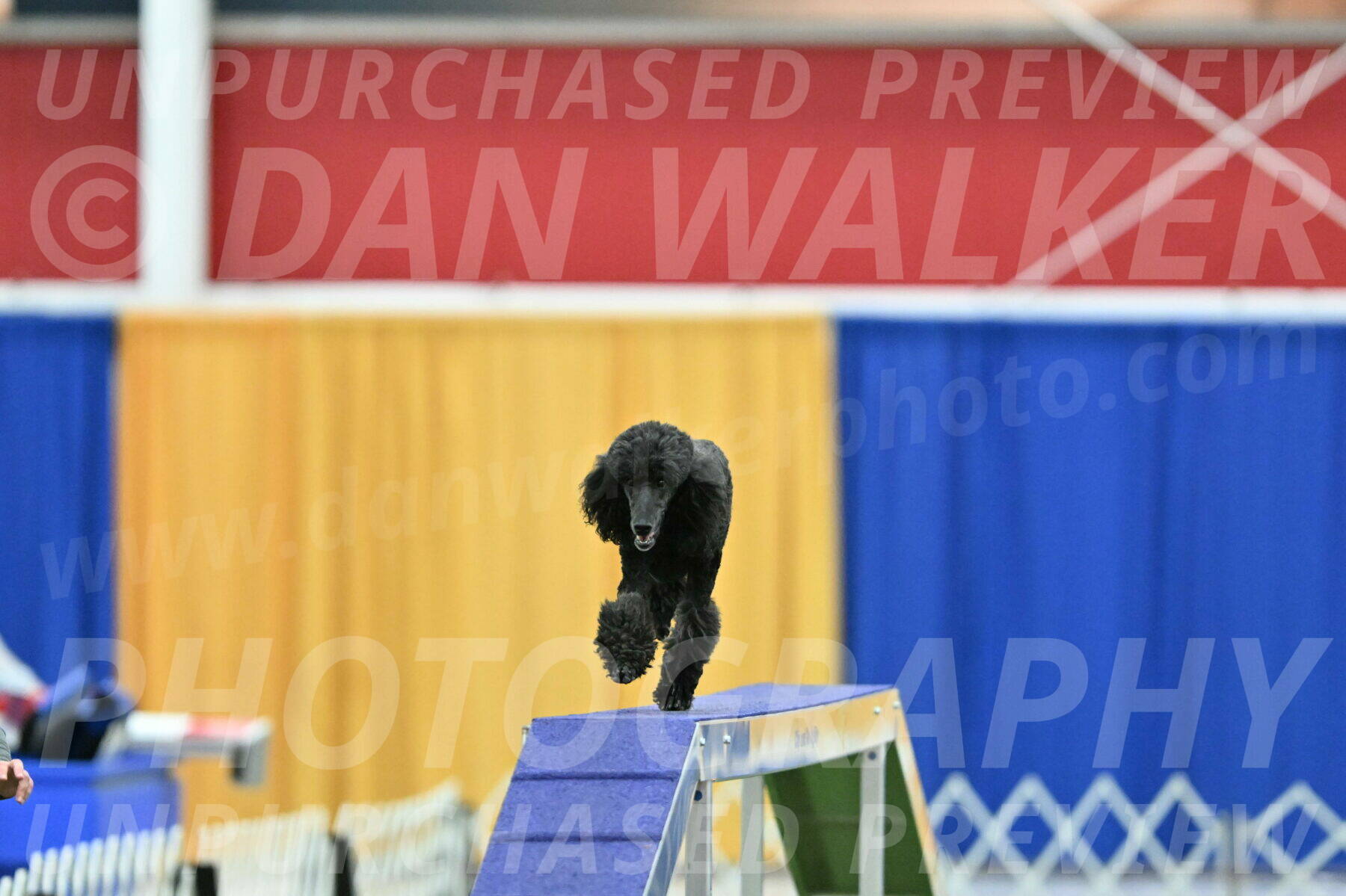 MAS-EX-STD-20-Inch_6955