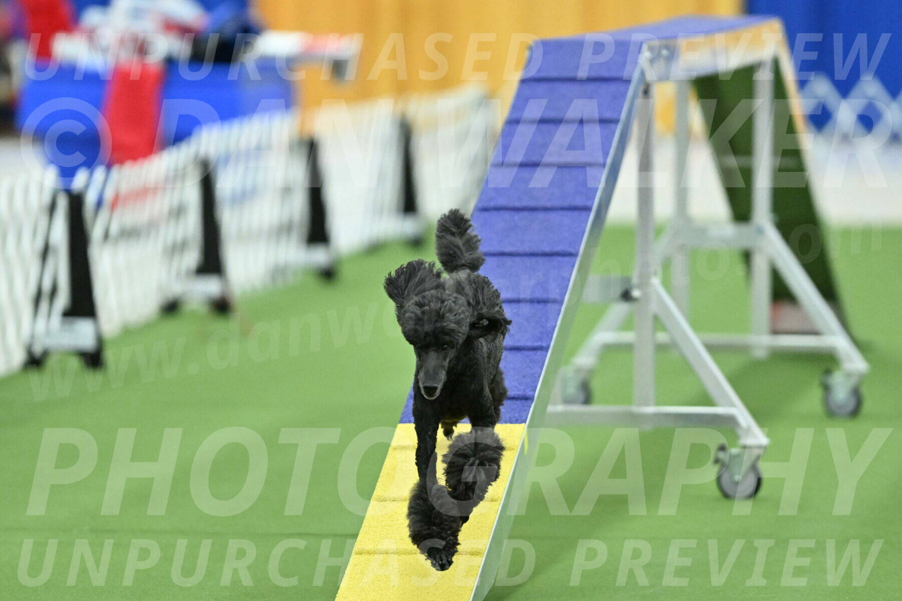 MAS-EX-STD-20-Inch_6969