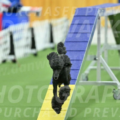 MAS-EX-STD-20-Inch_6969