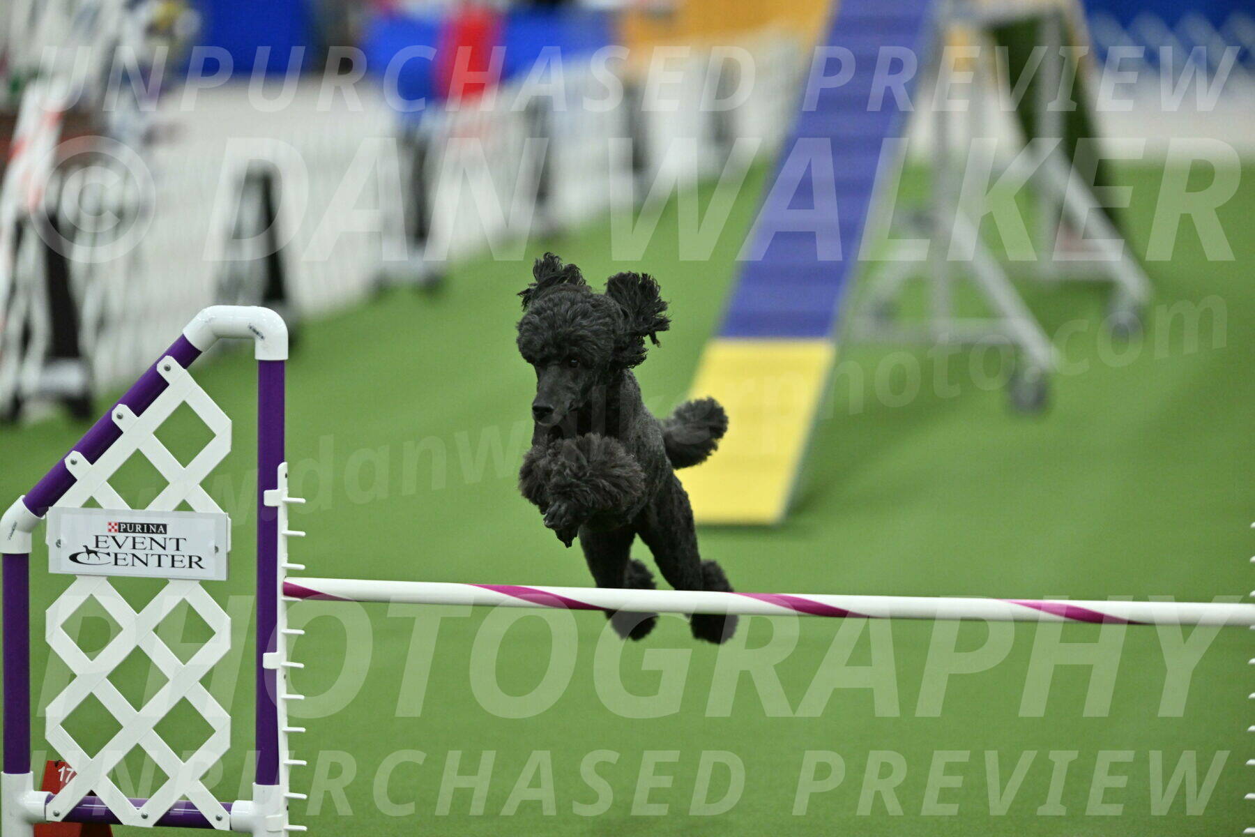 MAS-EX-STD-20-Inch_6979