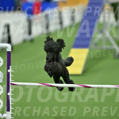 MAS-EX-STD-20-Inch_6979