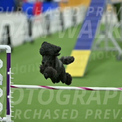 MAS-EX-STD-20-Inch_6980