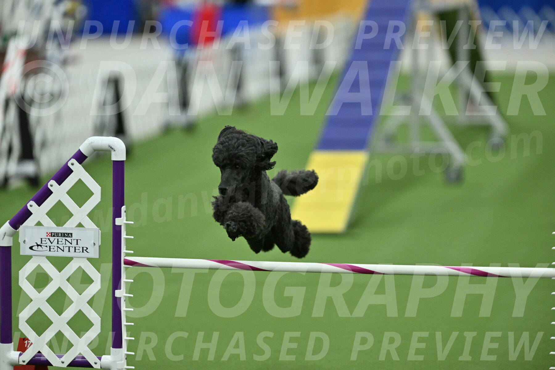 MAS-EX-STD-20-Inch_6980