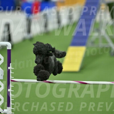 MAS-EX-STD-20-Inch_6981