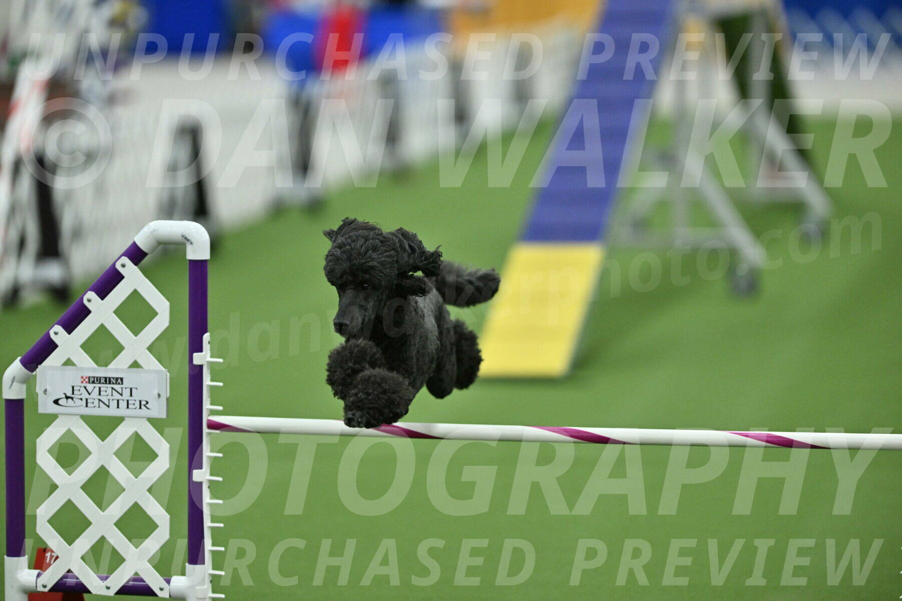 MAS-EX-STD-20-Inch_6981