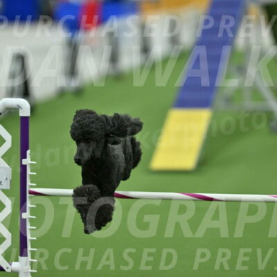 MAS-EX-STD-20-Inch_6982