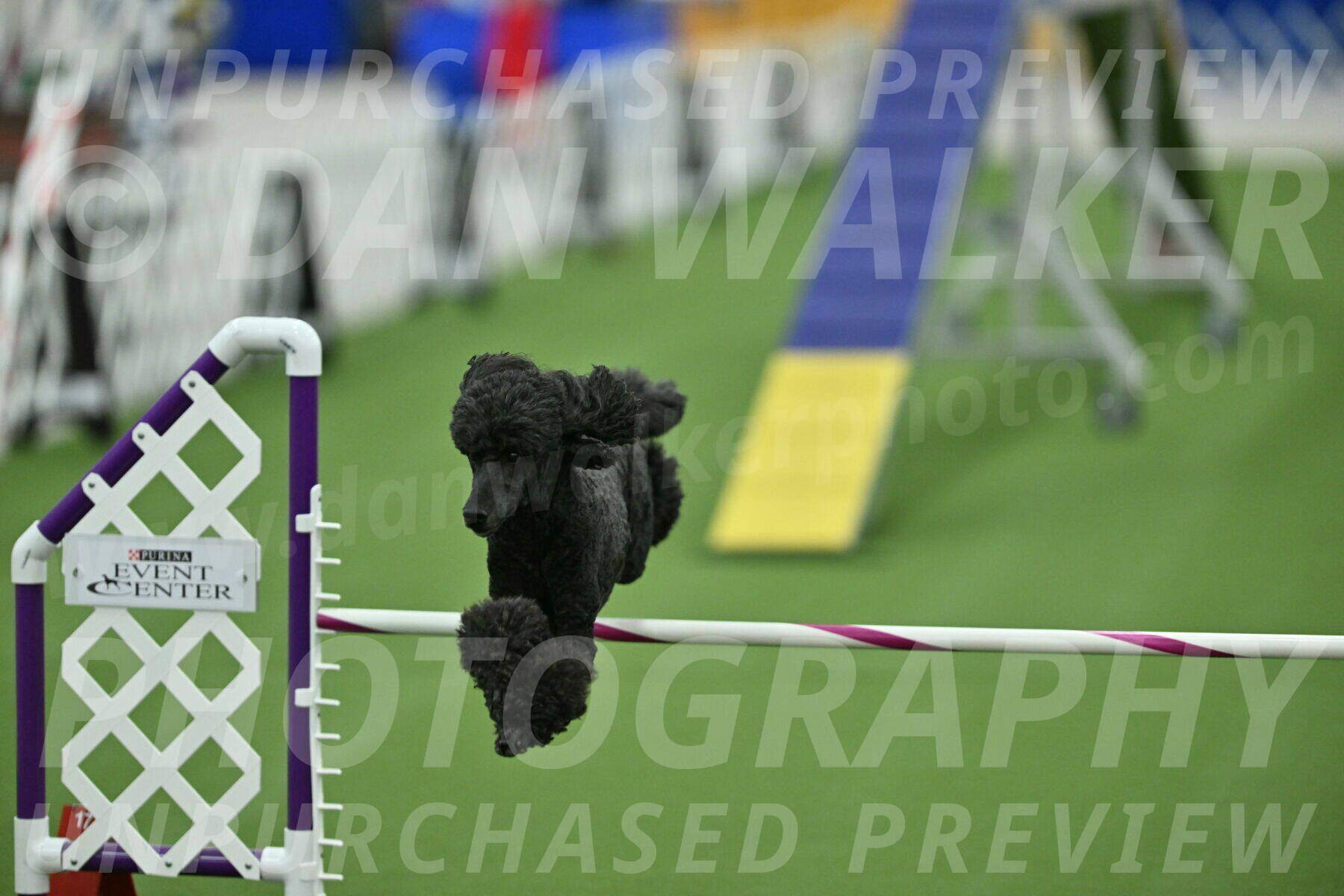 MAS-EX-STD-20-Inch_6982