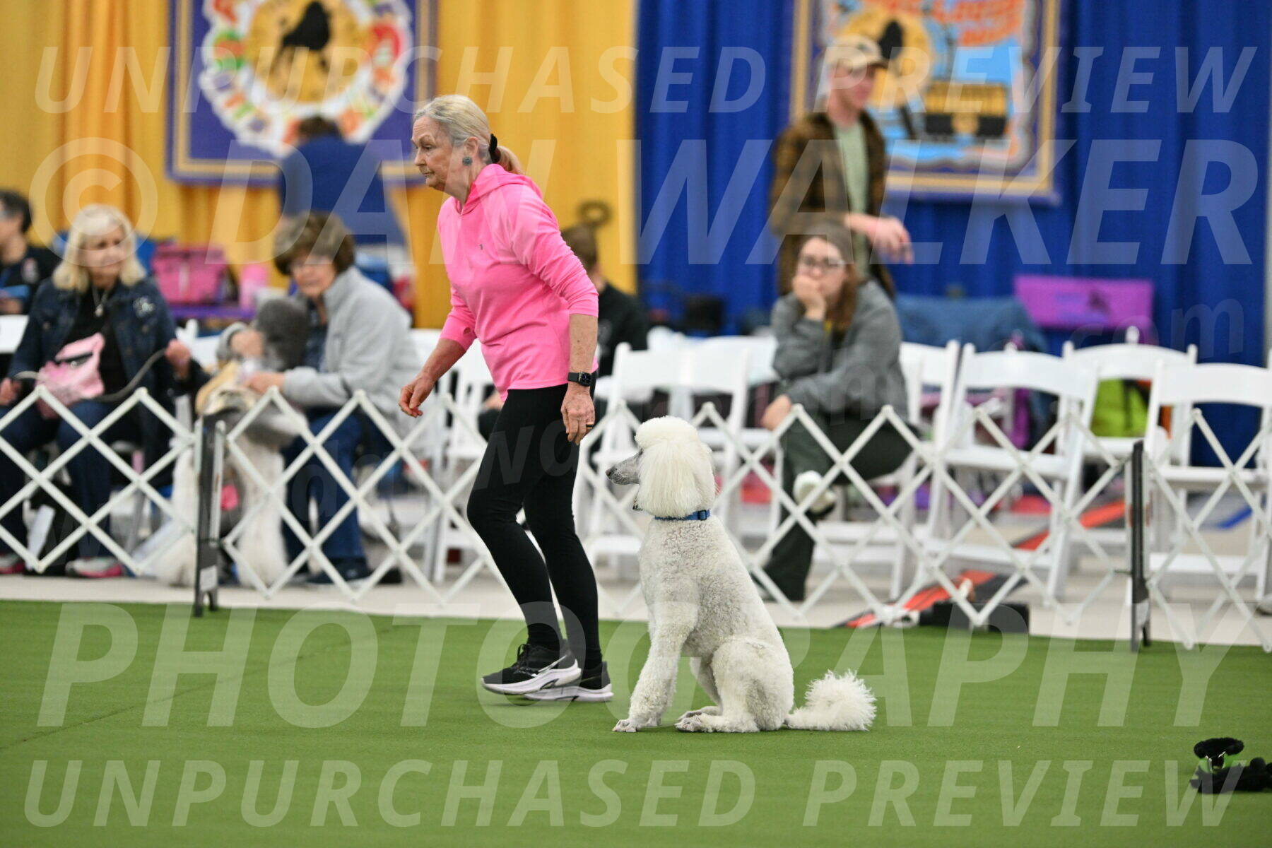 MAS-EX-STD-20-Inch_6983