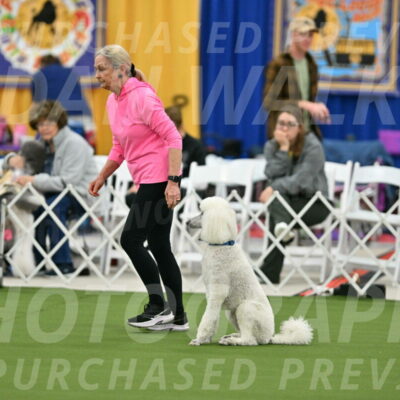 MAS-EX-STD-20-Inch_6983