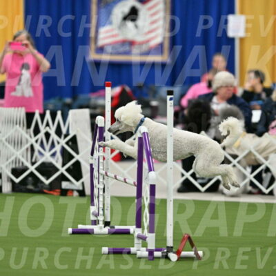 MAS-EX-STD-20-Inch_6985